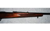 Winchester Model 70 Pre64 .220 Swift - 6 of 8