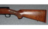 Winchester Model 70 Featherweight
.270 WIN - 7 of 8