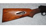 Winchester Model 63
.22 LR - 5 of 8
