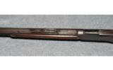 Winchester Model 1876
.40-60 WCF - 9 of 9