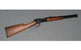 Winchester Model 94AE
.45 COLT - 1 of 8