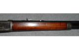 Winchester Model 1894.25-35 WCF - 6 of 9