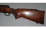 Winchester Model 70 pre 6430-06 - 7 of 8