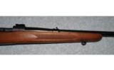 Winchester Model 70 Pre 64338 WIN MAG - 6 of 8