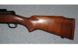 Winchester Model 70 Pre 64338 WIN MAG - 7 of 8