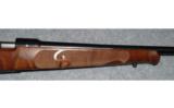 Winchester Model 70 FW Classic
30-06 - 4 of 8