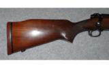 Winchester Model 70 Pre 64
338 WIN MAG - 5 of 8