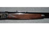 Winchester Model 1886.45/70 GOVT. - 6 of 8