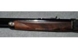 Winchester Model 1886.45/70 GOVT. - 8 of 8
