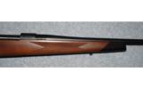 Weatherby ~ Vanguard ~ .257 Wby Mag - 6 of 8