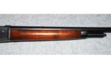 Winchester ~ Model 71 ~ 348 WIN - 4 of 9