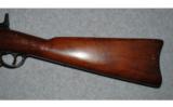 Springfield ~ Model 1884 ~ 45/70 - 9 of 9