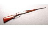 Savage ~ Model 1899TD ~ .250-3000 SAV - 1 of 9