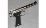 Auto Mag ~ Model 180 ~ .44 AMP - 1 of 3