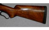 Winchester ~ Model 71 ~ .348 Winchester - 9 of 9