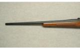 Winchester ~ 70 Custom ~ .375 H&H - 7 of 9