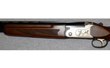 Legacy Sports ~ Pointer ~ 28 Gauge - 8 of 10