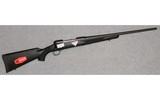 Savage Arms ~ 111 ~ .25-06 Remington - 1 of 10