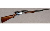 Winchester ~ 61 ~ .22 Short, Long or Long Rifle - 1 of 10