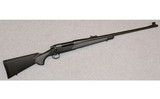 Remington ~ 700 SPS Dangerous Game ~ .375 Holland & Holland Magnum - 1 of 10