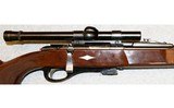 Remington ~ Nylon 11 ~ .22 S, L, LR - 3 of 10
