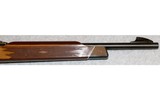 Remington ~ Nylon 11 ~ .22 S, L, LR - 4 of 10