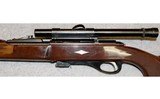 Remington ~ Nylon 11 ~ .22 S, L, LR - 8 of 10