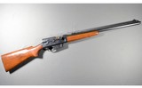Remington ~ 81 Woodsmaster ~ .300 Savage - 11 of 11