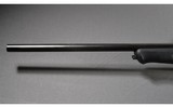 Blaser ~ R8 ~ 22-250 - 7 of 14