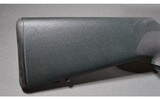 Blaser ~ R8 ~ 22-250 - 2 of 14