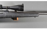 Remington ~ 700 ~ .25-06 - 4 of 11