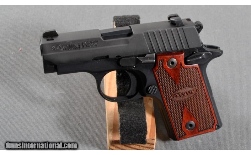 SIG Sauer ~ P328 ~ .380 Auto