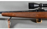 Savage ~ 110 ~ 7mm Remington Magnum - 7 of 12