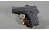 Remington ~ RM380 ~ .380 ACP - 2 of 3