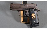 SIG Sauer ~ P328 ~ .380 ACP - 2 of 3