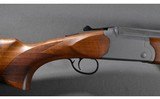 KRC ~ Pointer ~ 12 Gauge - 3 of 11