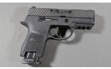 SIG Sauer ~ P320 ~ 9mm Luger
