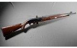 Remington ~ Nylon 66 ~ .22 Long Rifle