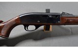 Remington ~ Nylon 66 ~ .22 Long Rifle - 3 of 11