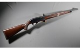 Remington ~ Nylon 66 ~ .22 Long Rifle