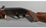 Remington ~ Nylon 66 ~ .22 Long Rifle - 8 of 11