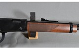 Henry ~ H001V ~ .17 HMR - 4 of 10