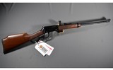 Henry ~ H001V ~ .17 HMR