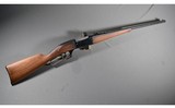 Savage Arms ~ 99 ~ .25-35 WCF - 1 of 11