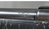 CZ ~ 455 ~ .17 HMR - 10 of 11