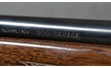 Remington ~ 700 ~ .300 Savage - 10 of 10