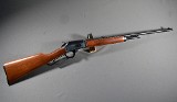 Marlin ~ 1894CL ~ 25-20 Winchester