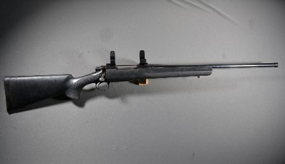 Remington ~ 700 ~ .300 Win Mag