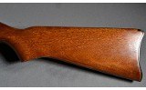Ruger ~ 10/22 ~ .22 Long Rifle - 9 of 10