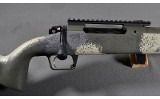 Springfield Armory ~ 2020 Waypoint ~ .300 Win Mag - 3 of 10